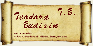 Teodora Budišin vizit kartica